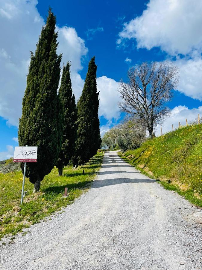 Agriturismo Fraschetta Montalcino Exterior foto
