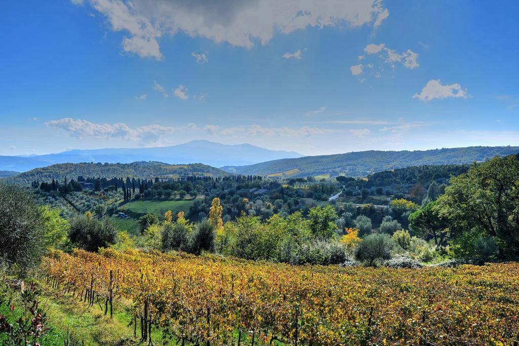 Agriturismo Fraschetta Montalcino Exterior foto
