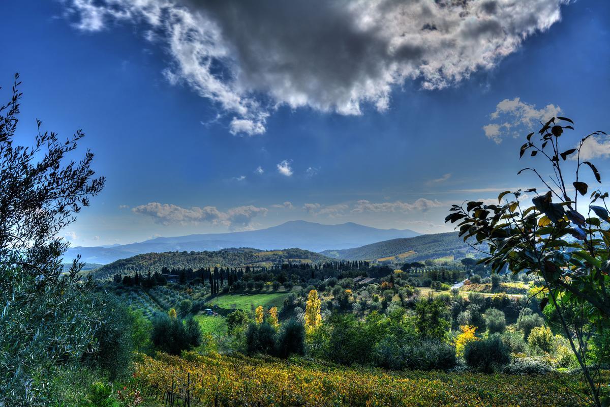 Agriturismo Fraschetta Montalcino Exterior foto